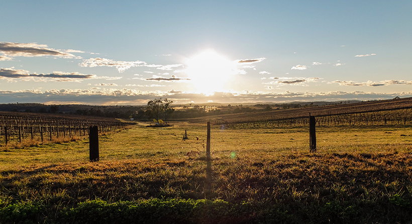 Clovely Estate | Halliday Wine Companion